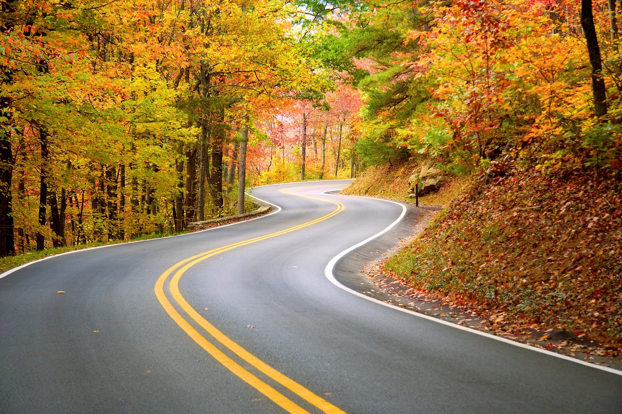 c'est quoi un road trip